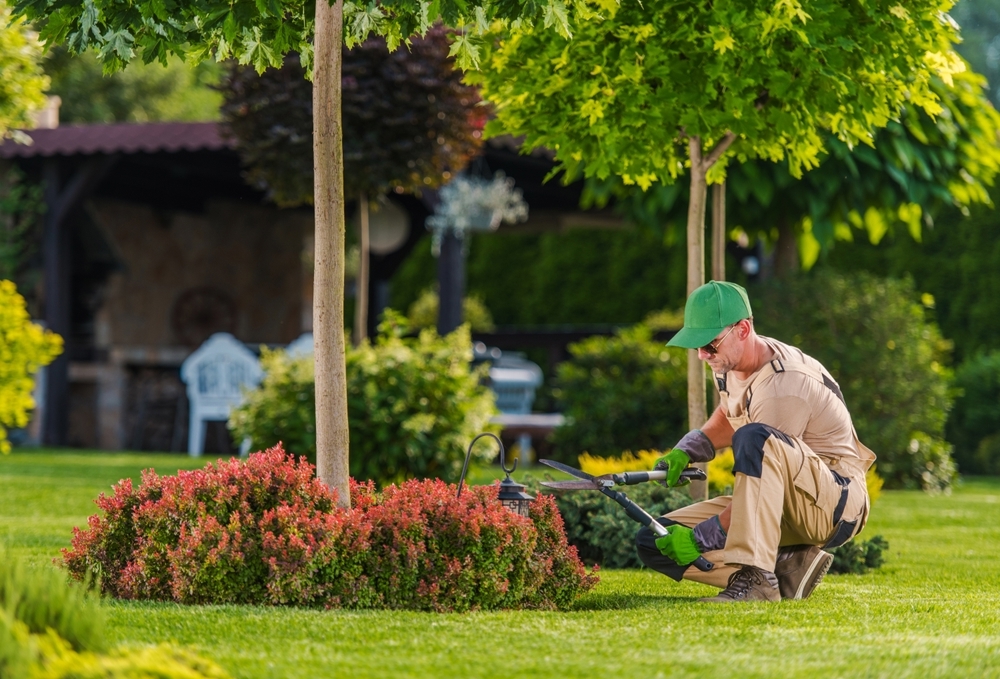 Persona trabajando en jardín