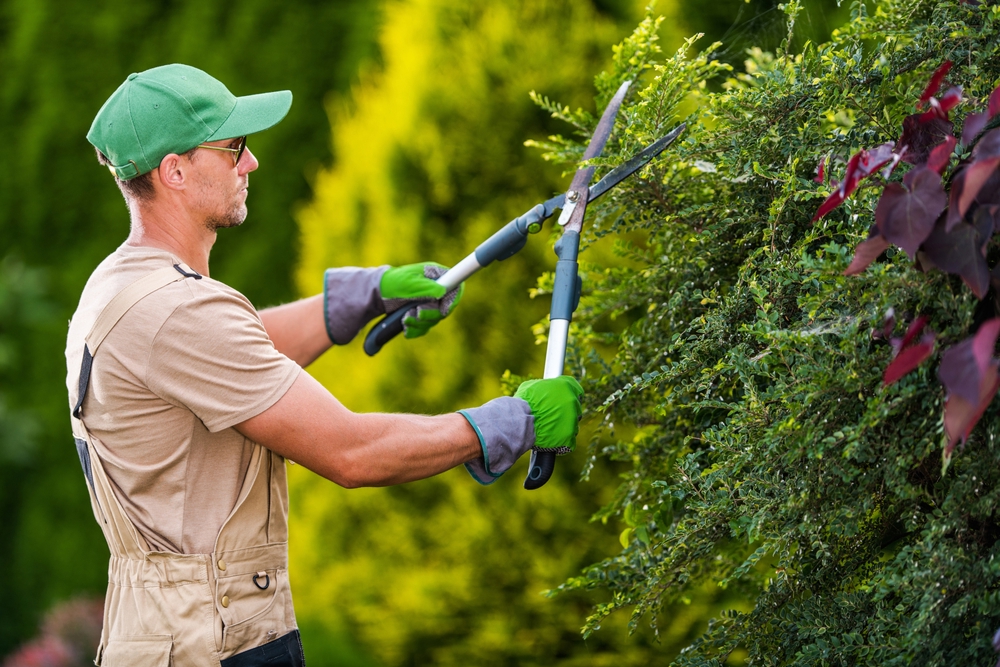 Persona trabajando en jardín